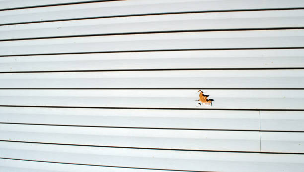 Best Fascia and Soffit Installation  in Westmorland, CA
