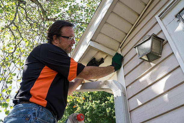 Best Custom Trim and Detailing for Siding  in Westmorland, CA